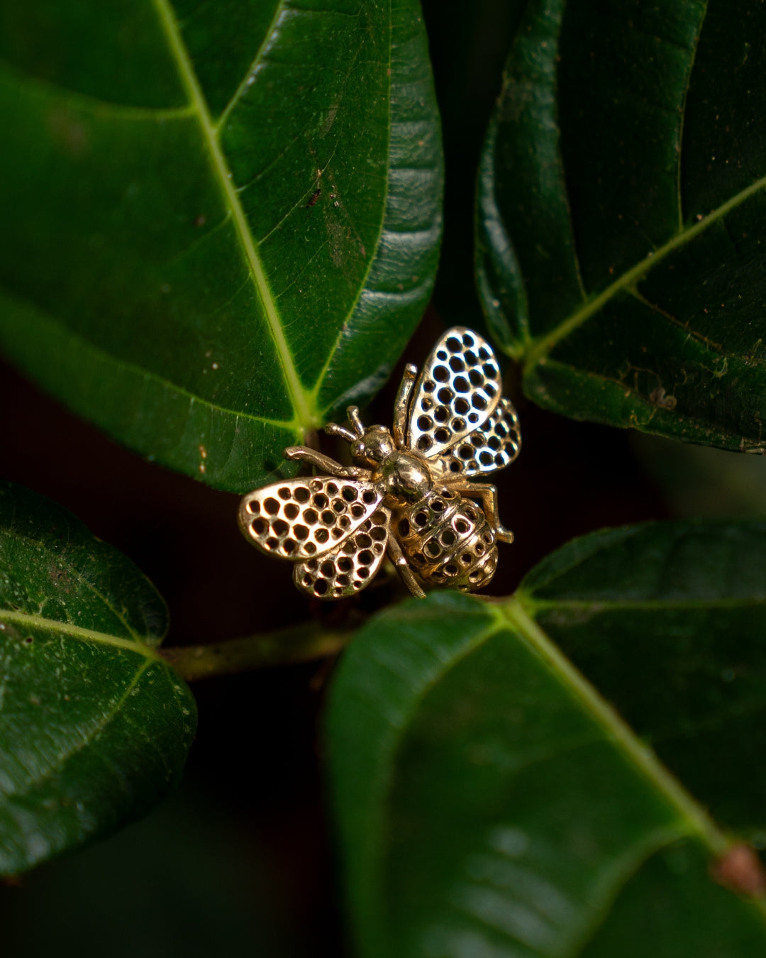 Wild Nectar – Honey Bee Brass Statement Ring - JUNUKA